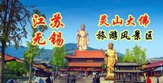 www.找骚逼.con江苏无锡灵山大佛旅游风景区